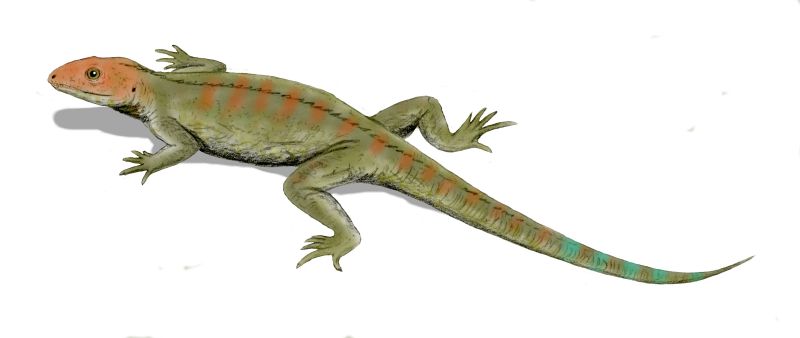Artist rendering of early reptile known as Hylonomus
