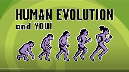 human evolution