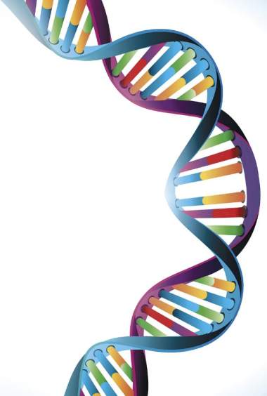 DNA.