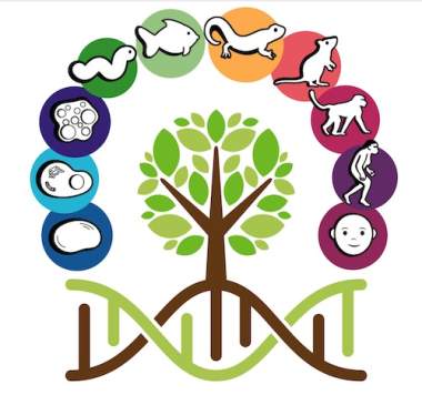 DNA and the Tree of Life