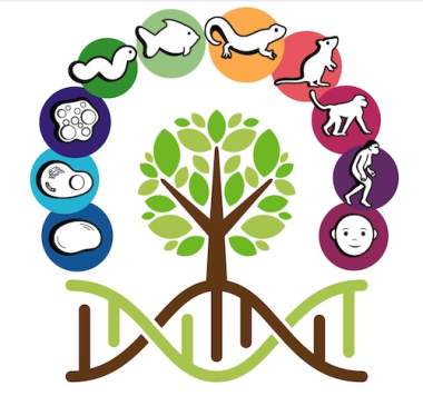 DNA and the Tree of Life DNA and the Tree of Life